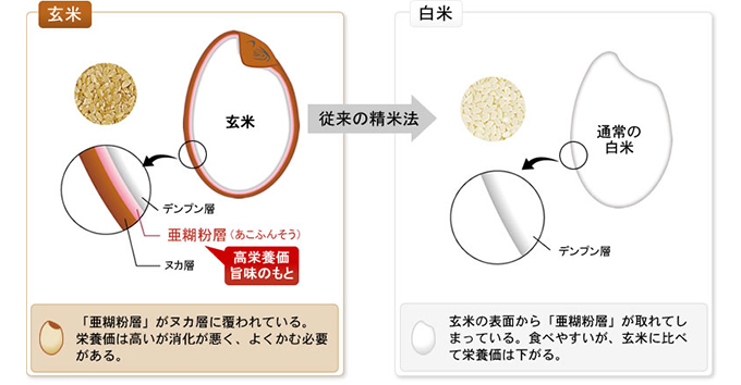 自社技術の活用